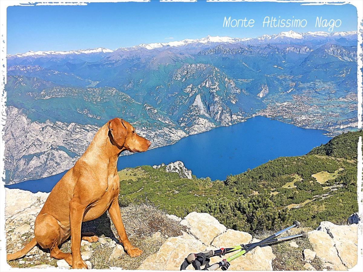 Viewlake Apartment Torbole Sul Garda Ngoại thất bức ảnh